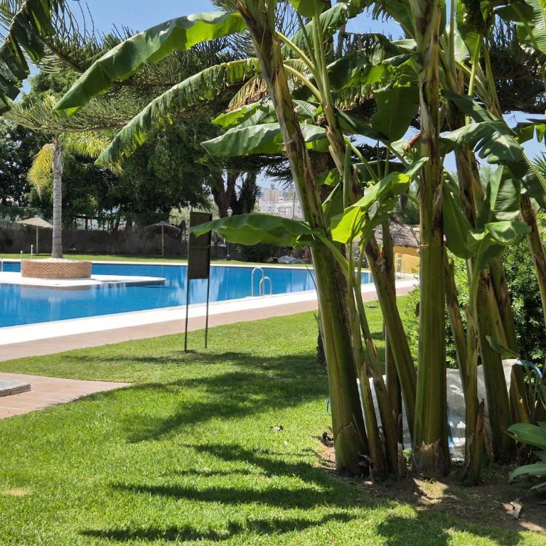La Colina Beach & City - Appartement 1 Chambre - 43
