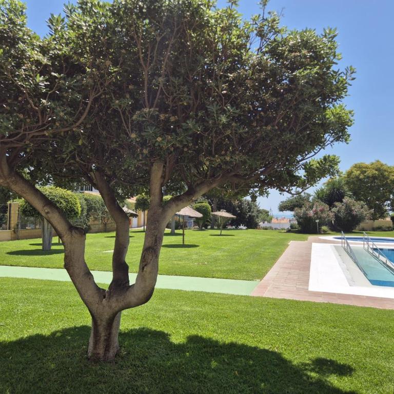 La Colina Beach & City - Appartement 1 Chambre - 42