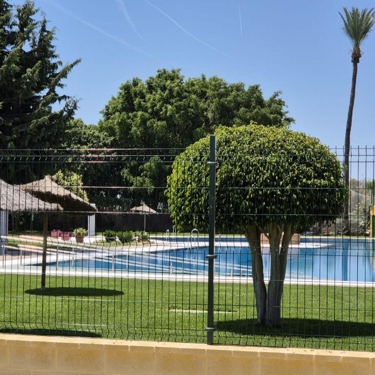 La Colina Beach & City - Appartement 1 Chambre - 49