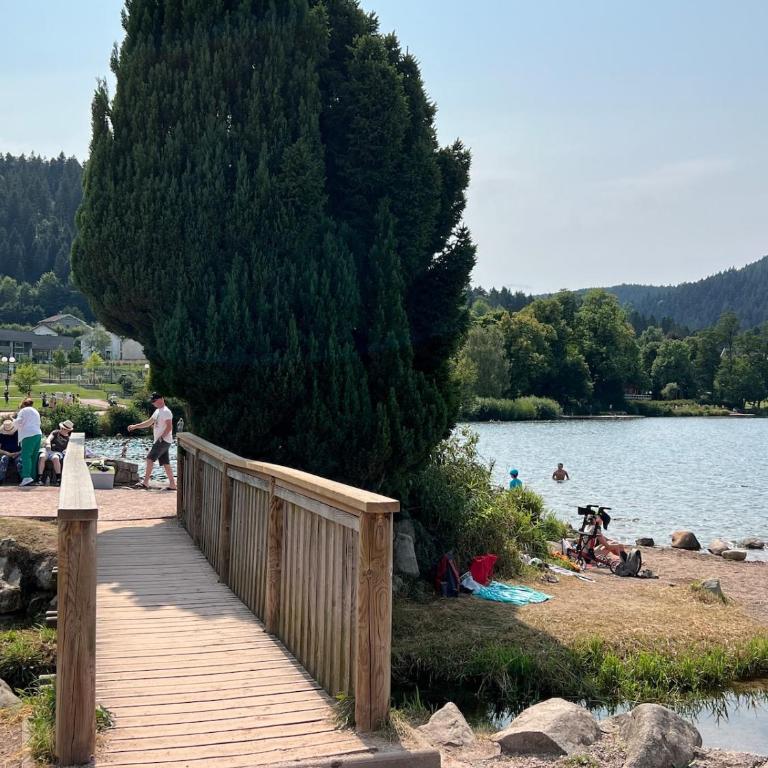 L'appartement cosy du Lac avec Sauna et Balnèo - Premium Apartment mit 3 Schlafzimmern - 16