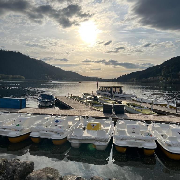 L'appartement cosy du Lac avec Sauna et Balnèo - Premium Apartment mit 3 Schlafzimmern - 21