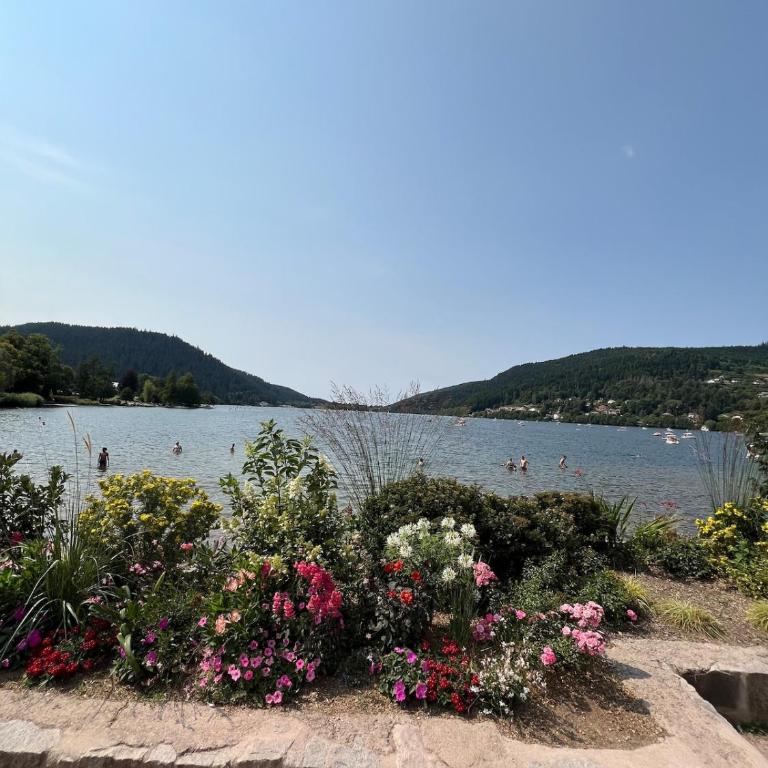 L'appartement cosy du Lac avec Sauna et Balnèo - Premium Apartment mit 3 Schlafzimmern - 41