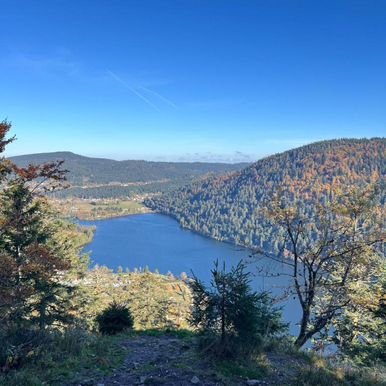 L'appartement cosy du Lac avec Sauna et Balnèo - Premium Apartment mit 3 Schlafzimmern - 42