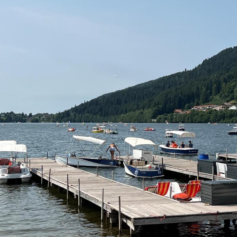 L'appartement cosy du Lac avec Sauna et Balnèo - Premium Apartment mit 3 Schlafzimmern - 53