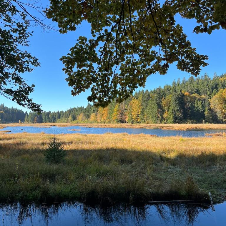 L'appartement cosy du Lac avec Sauna et Balnèo - Premium Apartment mit 3 Schlafzimmern - 59