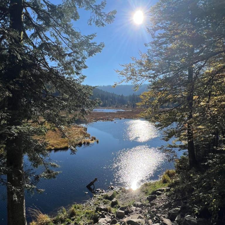 L'appartement cosy du Lac avec Sauna et Balnèo - Premium Apartment mit 3 Schlafzimmern - 63