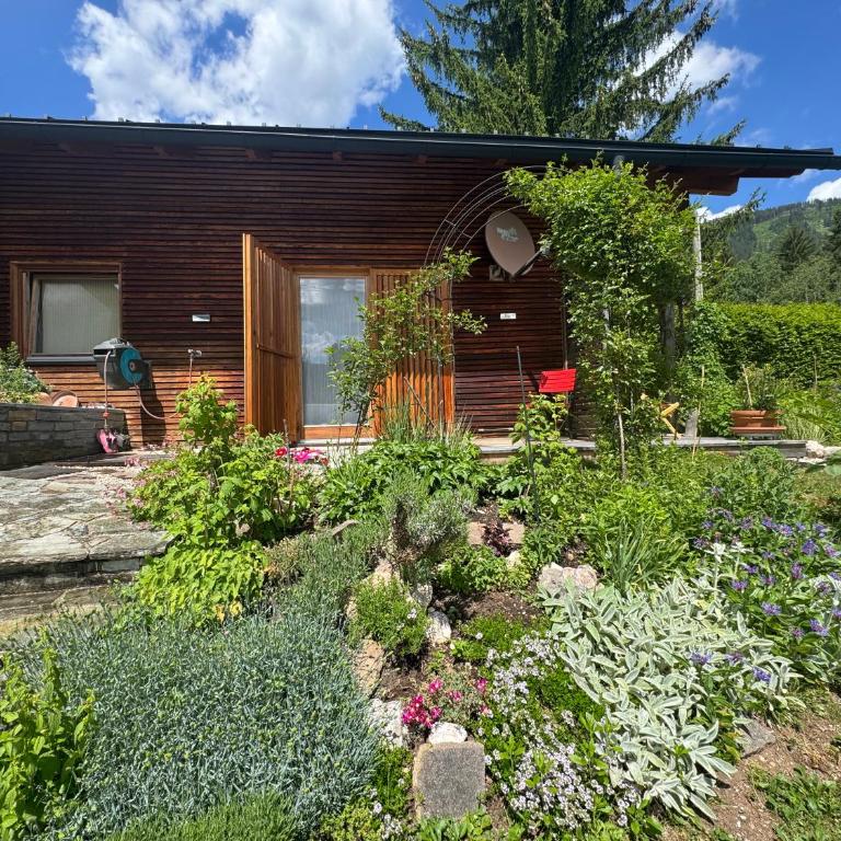 Ferienwohnung Wildrose - Apartment mit Blick auf die Berge - 1