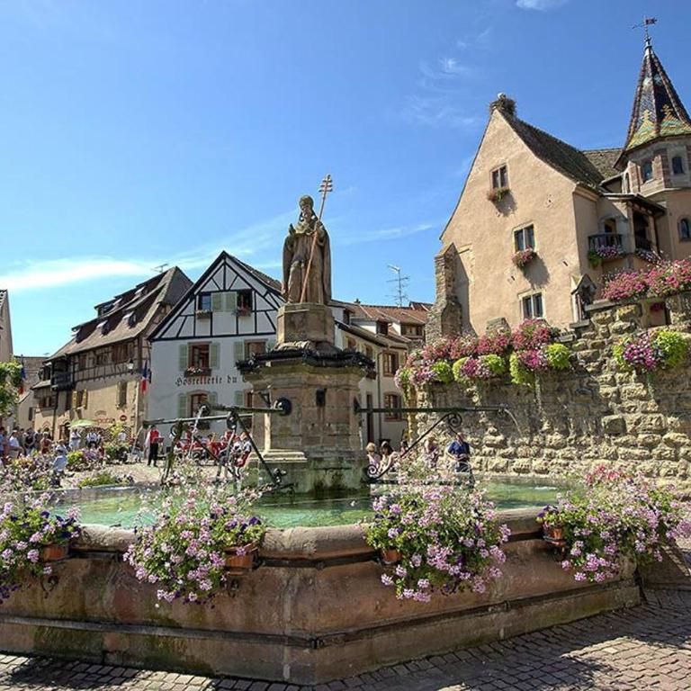 Gîte aux 3 Cigognes - Monolocale King - 6