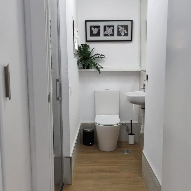 Studio Archivo de Indias - Apartamento de 1 dormitorio - 8