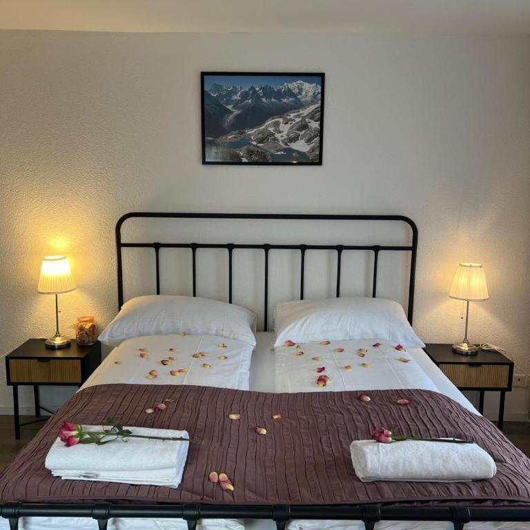 Harderkulm - Appartement 1 Chambre - 8