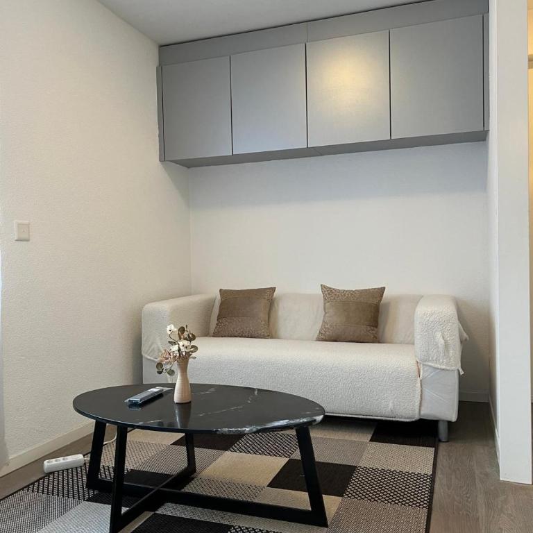 Harderkulm - Appartement 1 Chambre - 9