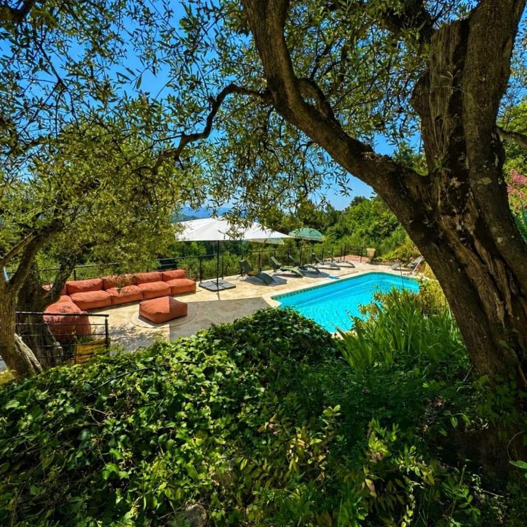 Peaceful Villa Olive Grove Sea View Pool 5 bd - Vacation Home - 4