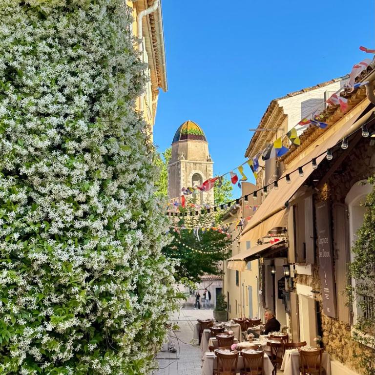 Le Figuier du Clocher - Cœur du vieux village - Apartamento de 1 dormitorio - 1