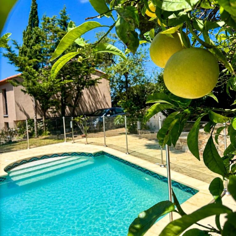 Atlantide - Somptueuse Villa Classée 4 étoiles - Saint-Clair - Vue Exceptionnelle - Piscine - Villa avec Piscine Privée - 14
