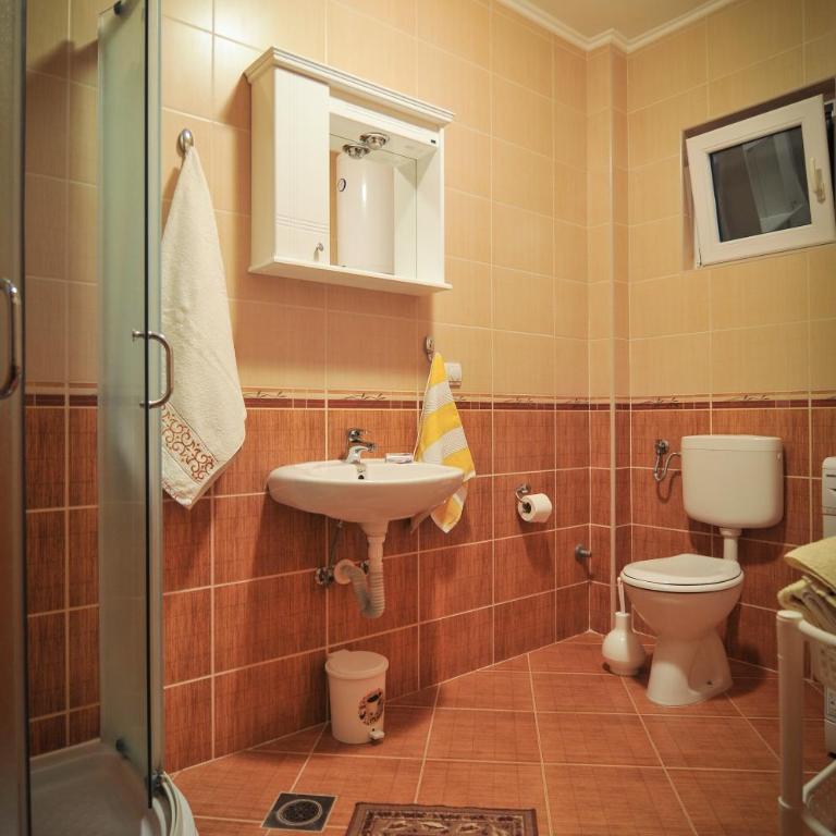 Apartments Samardžić - One-Bedroom Apartment with Terrace (5 Adults) - 4