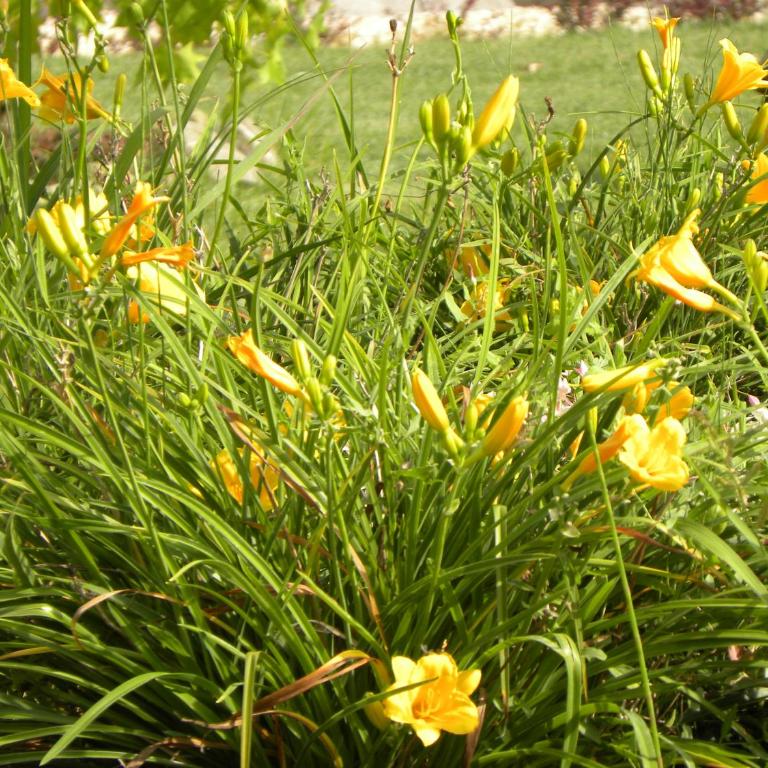 Capanna Frui Ruris, Relax nella Campagna Toscana - Casa con 2 Camere da Letto - 18