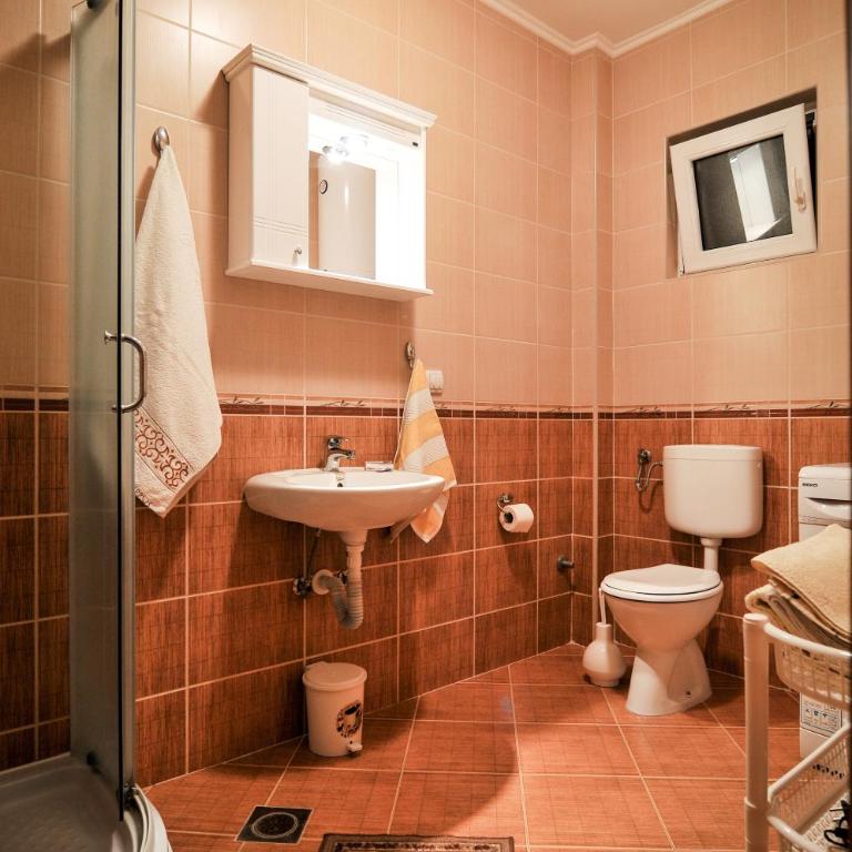 Apartments Samardžić - One-Bedroom Apartment with Terrace (5 Adults) - 2