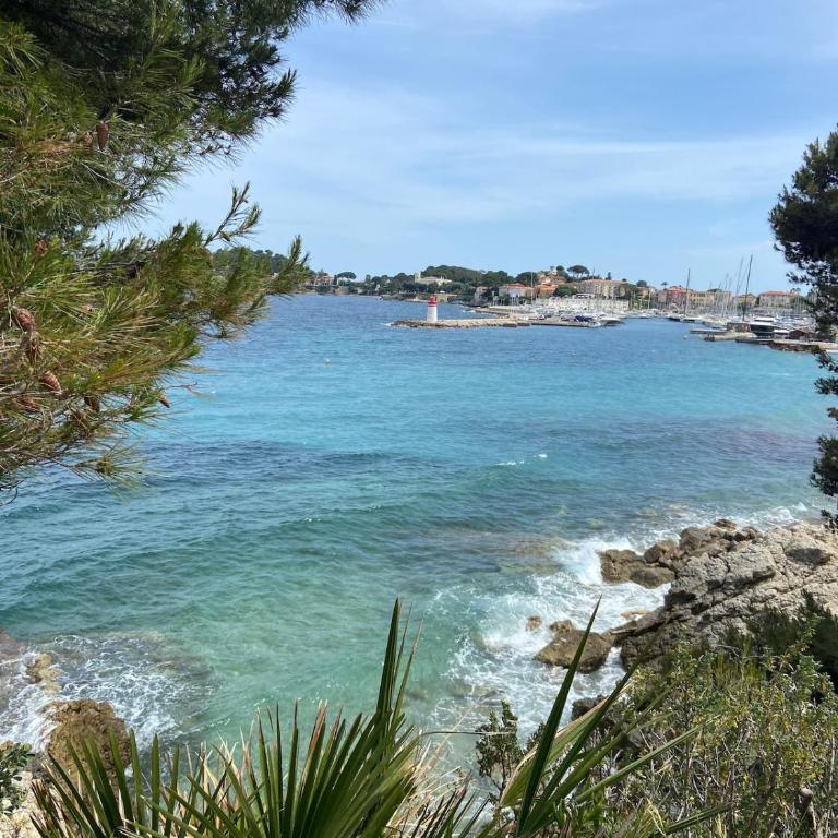 Résidence du port Pieds ds l'eau Parking - Apartamento de 1 dormitorio - 14