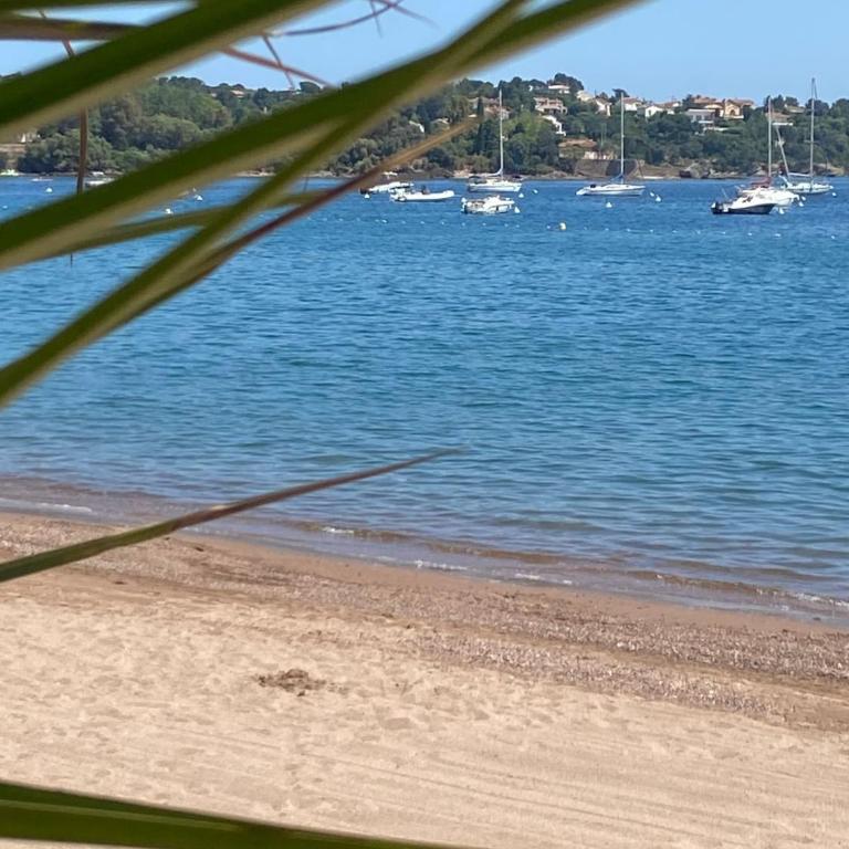 Résidence du port Pieds ds l'eau Parking - Apartamento de 1 dormitorio - 22