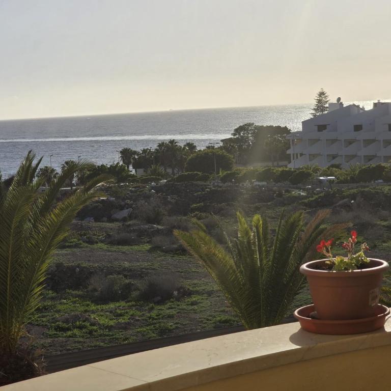 Blue Horizon, sea view apartment los cristianos - One-Bedroom Apartment - 10