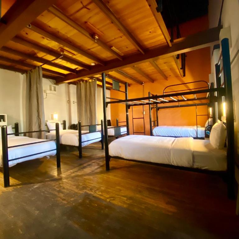 Casa Regina CDMX - Einzelbett im Männerschlafsaal - 2