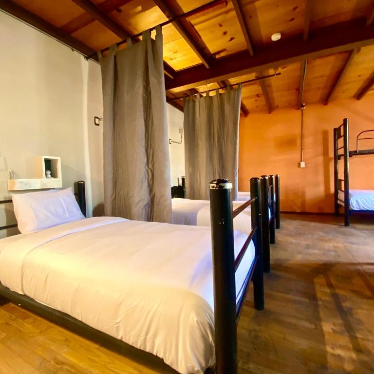 Casa Regina CDMX - Einzelbett im Männerschlafsaal - 4