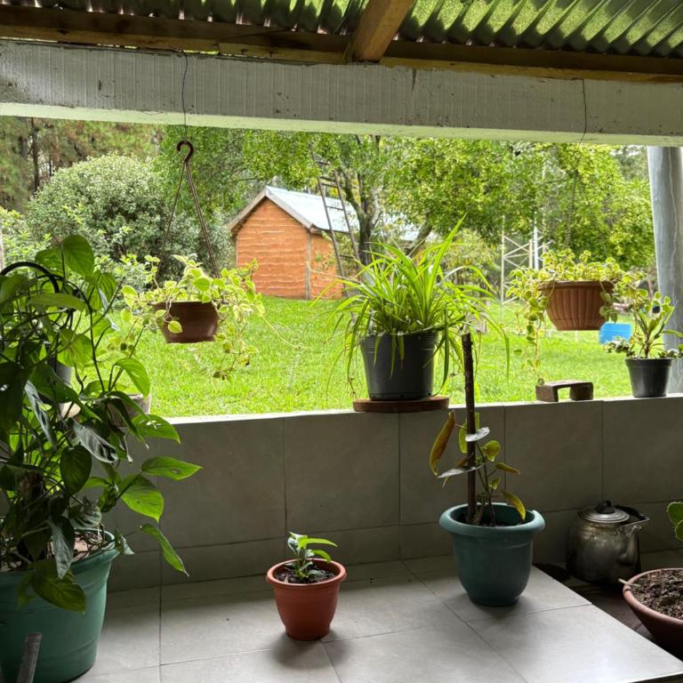 Cabaña Los Nietitos - Casa de 2 dormitorios - 66