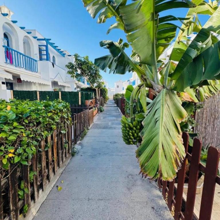 PLAYMAR SOL - Apartment mit 1 Schlafzimmer - 15