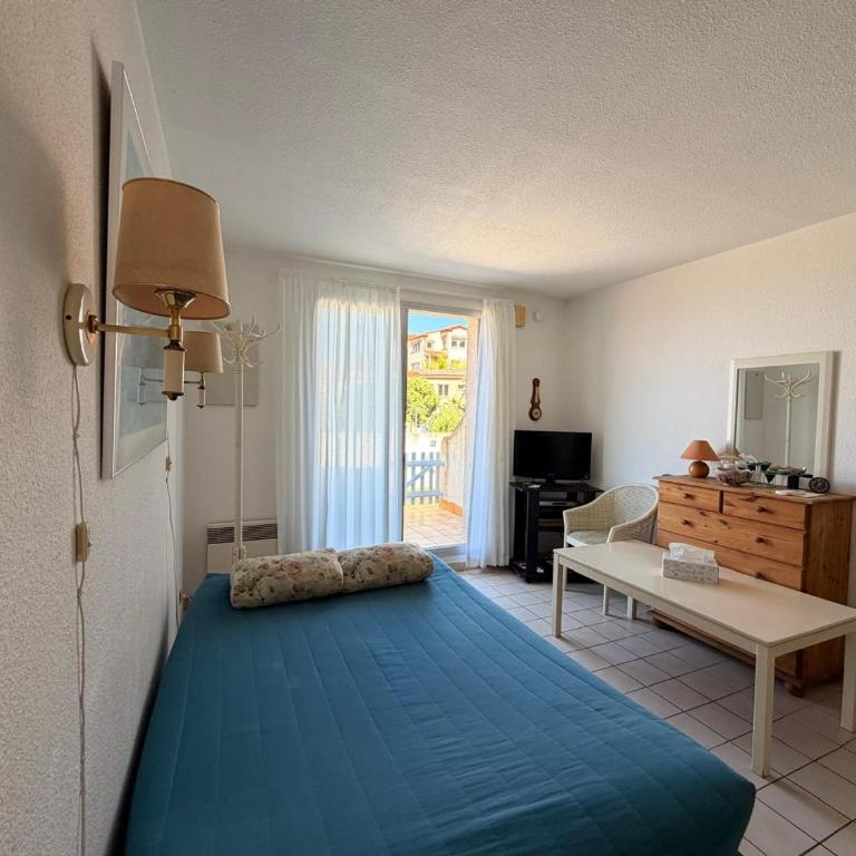 Studio climatisé Banyuls-sur-Mer avec parking, proche mer - FR-1-309-74 - Studio - 19