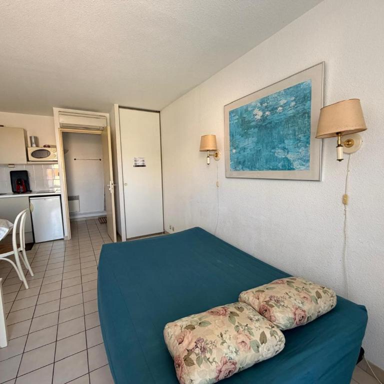 Studio climatisé Banyuls-sur-Mer avec parking, proche mer - FR-1-309-74 - Studio - 20