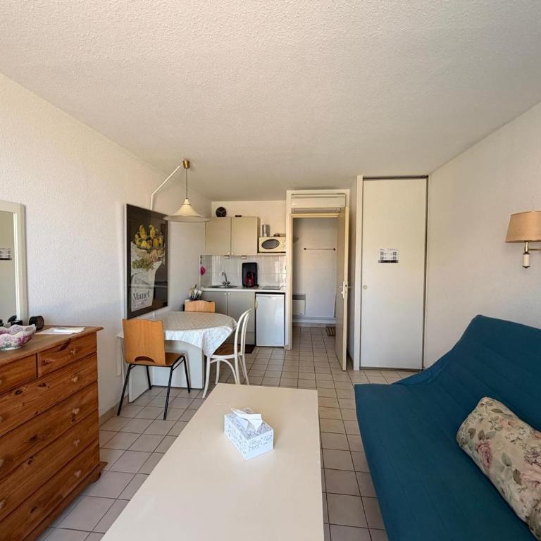 Studio climatisé Banyuls-sur-Mer avec parking, proche mer - FR-1-309-74 - Studio - 22