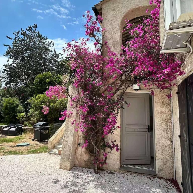 Jolie maison avec vue mer - 8 pers. - FR-1-226B-264 - Casa - 16