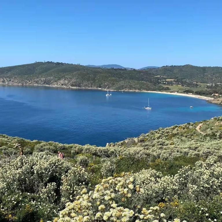 Jolie maison avec vue mer - 8 pers. - FR-1-226B-264 - Casa - 19