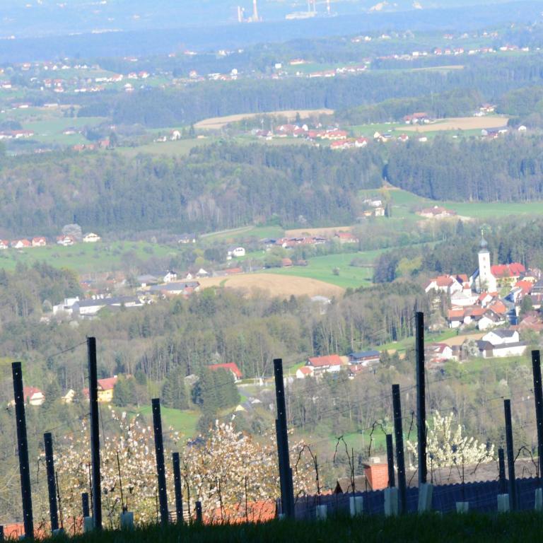Weingut Seiner vlg. Kraxner - Habitación Doble adaptada para personas con movilidad reducida - 5