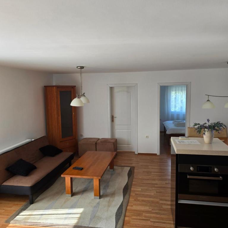 Sajam House - Apartman s 1 Spavaćom Sobom i Balkonom - 3