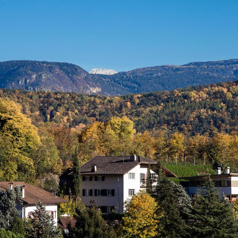 Haus Dorfblick - Apartamento con balcón - 12