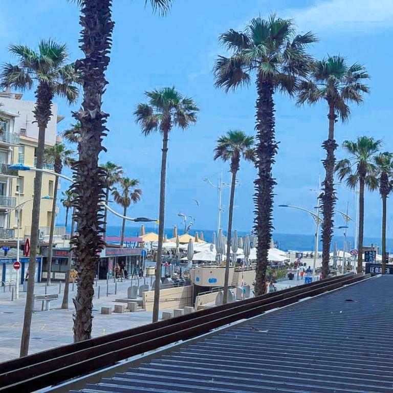 Viva la Vida - Canet plage - Suite-Apartment - 8
