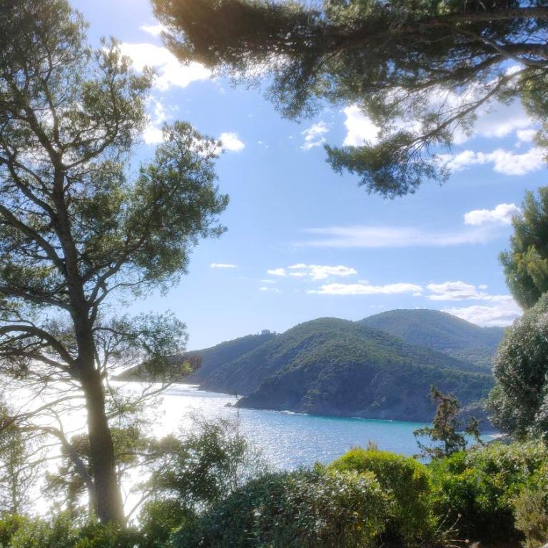 Villa La Grande Bleue - Vue mer - Plage Privée - Villa - 5