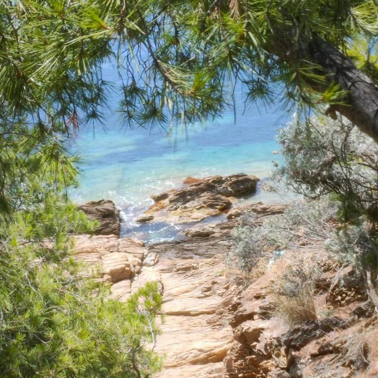 Villa La Grande Bleue - Vue mer - Plage Privée - Villa - 1