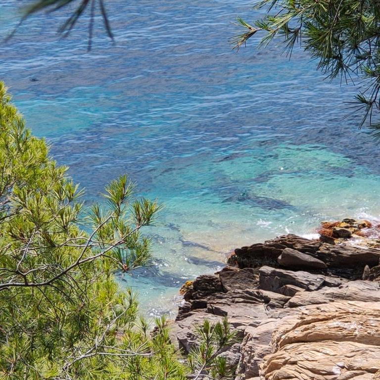 Villa La Grande Bleue - Vue mer - Plage Privée - Villa - 7