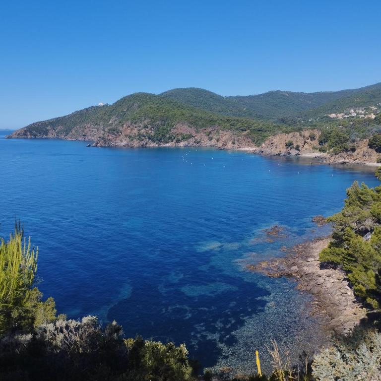 Villa La Grande Bleue - Vue mer - Plage Privée - Villa - 12