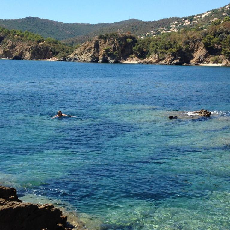 Villa La Grande Bleue - Vue mer - Plage Privée - Villa - 18