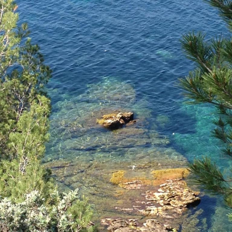 Villa La Grande Bleue - Vue mer - Plage Privée - Villa - 13