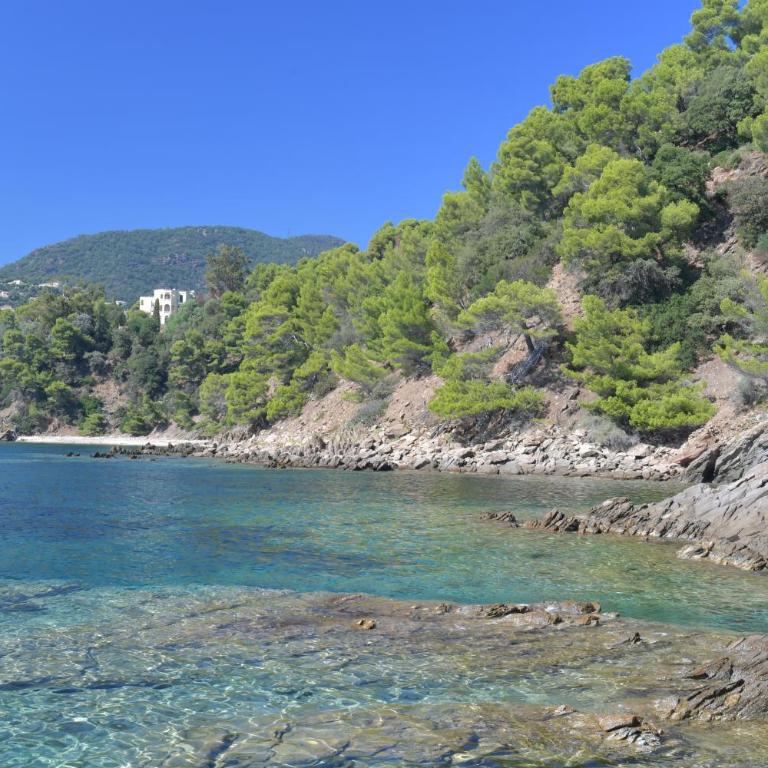 Villa La Grande Bleue - Vue mer - Plage Privée - Villa - 29