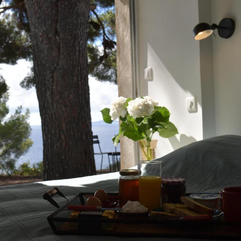 Villa La Grande Bleue - Vue mer - Plage Privée - Villa - 61