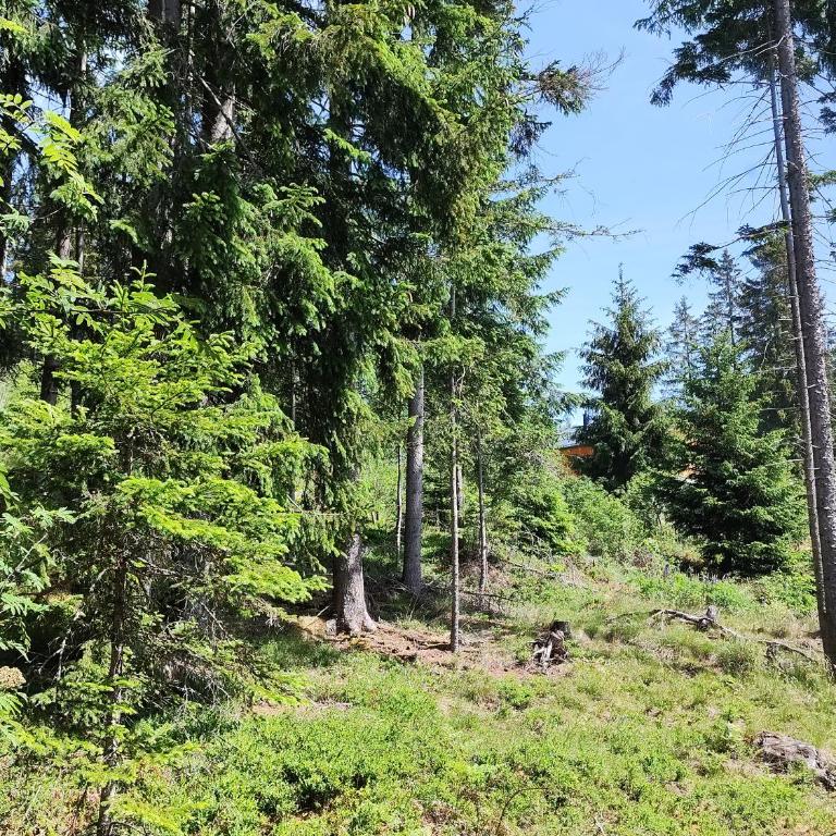 Chalet Glauninger - Haus mit 5 Schlafzimmern - 40
