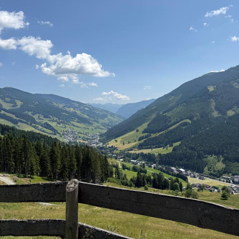 Almhütte Eibingalm - Chalet 2 Chambres - 17