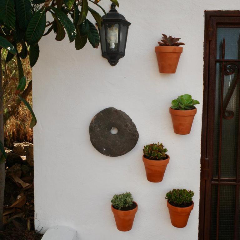 Bodeguita - Finca Tabaiba by TOR - Casa de 2 dormitorios - 46