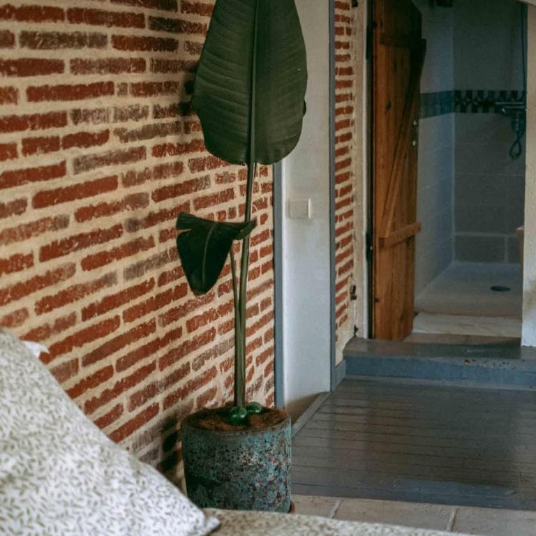 O Saudade - Centre Perpignan - Apartment mit 2 Schlafzimmern und Terrasse - 14