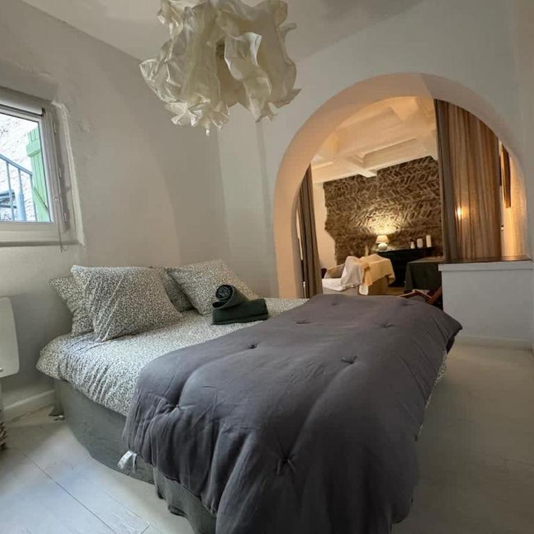 El Niu - Perpignan hyper centre - Appartement 1 Chambre avec Terrasse - 4